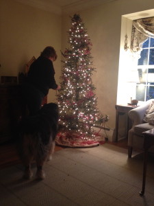 I wrapped these around the tree almost like beads or ribbons. And Lady dog helped!