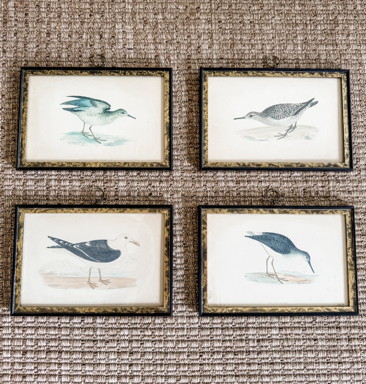 Highly Collectible Framed Antique Alexander Francis Lydon Antique Bird Prints