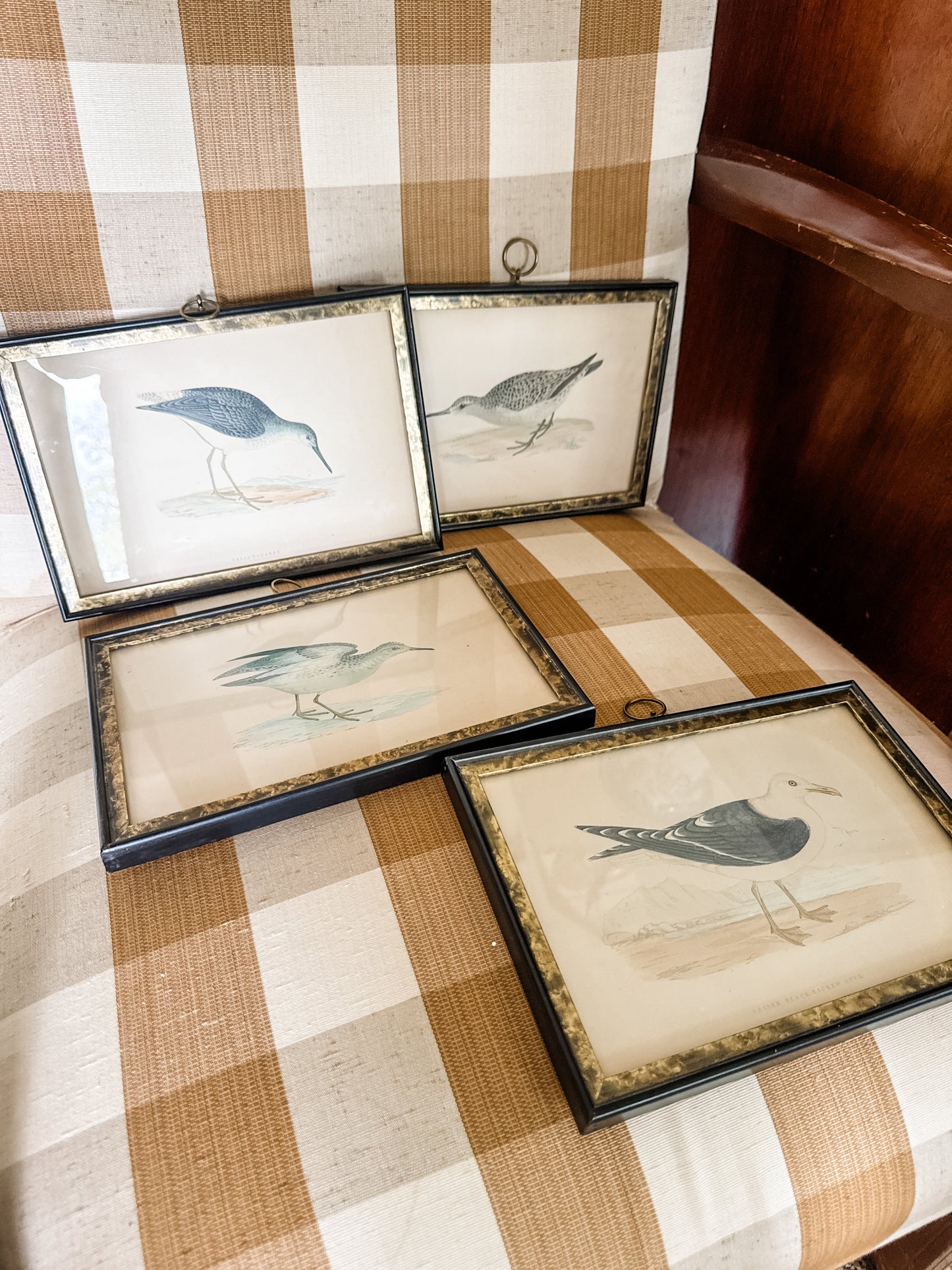 Highly Collectible Framed Antique Alexander Francis Lydon Antique Bird Prints